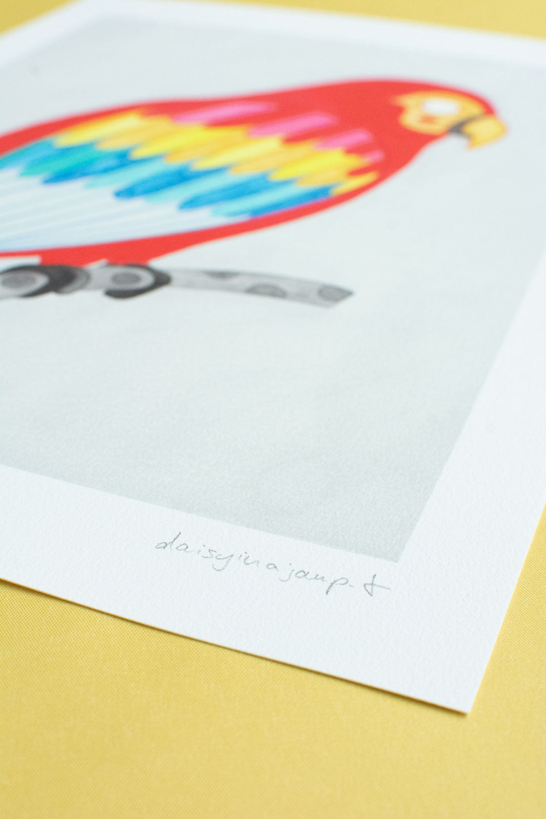 Aquarell Print Papagei von der Münchner Illustratorin Kathrin Boll