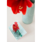 Weihnachtskarte "Amaryllis"