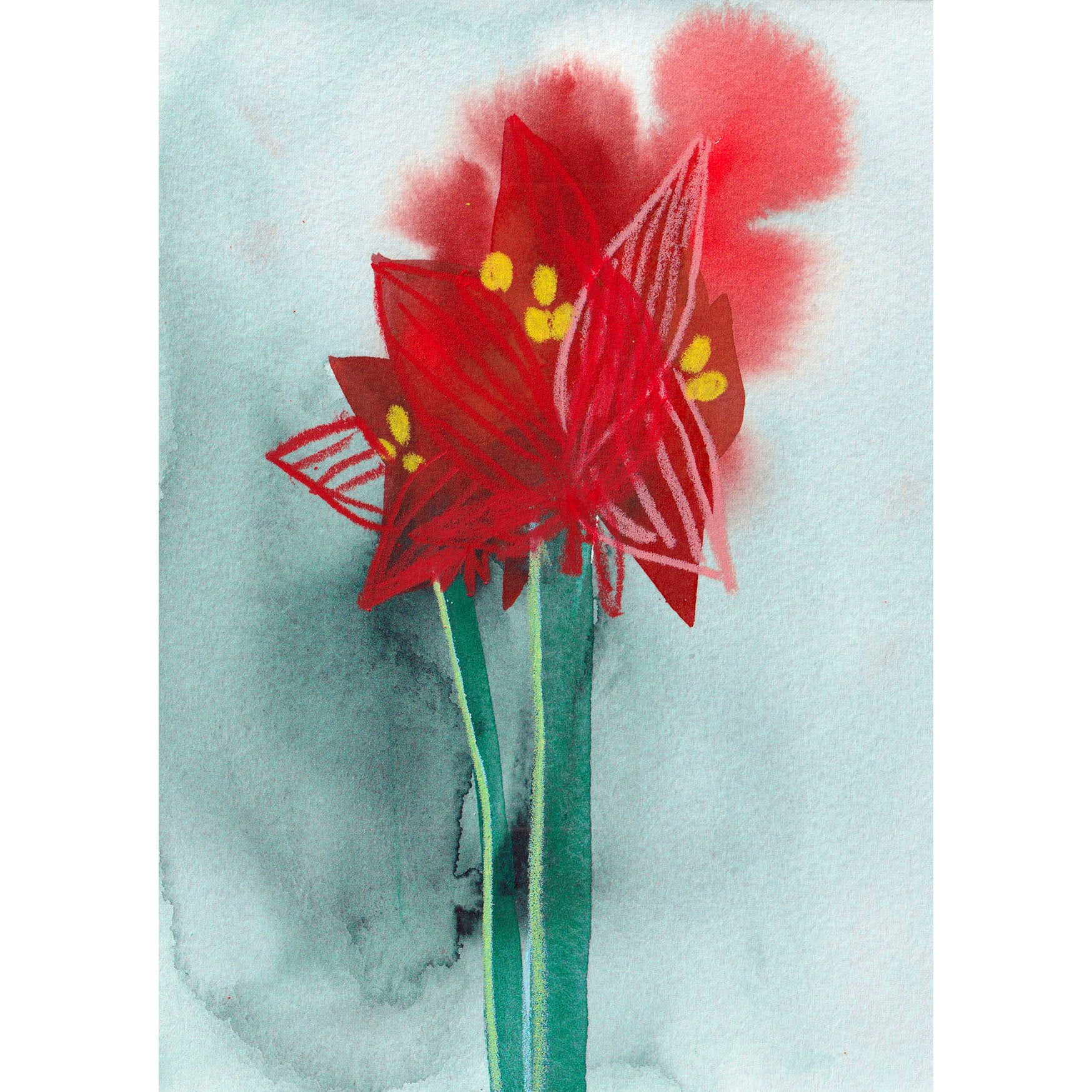 Weihnachtskarte "Amaryllis"